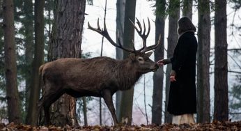 Klip Zuzany Smatanovej „Horou“ má už takmer pol milióna pozretí, účinkuje v ňom živý jeleň!