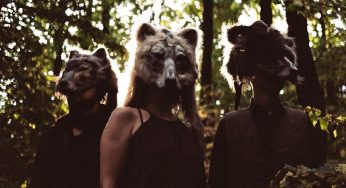 NEBERTE LESY: LONGITAL A BARDO VENUJÚ BENEFIČNÝ KONCERT LESOOCHRANÁRSKEMU ZOSKUPENIU VLK
